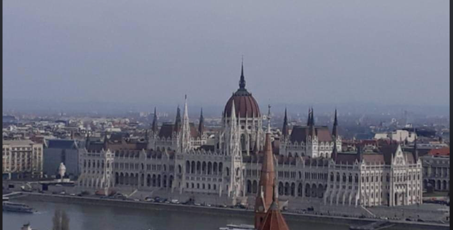 Лали КОСАШВИЛИ | Галопoм по Европам