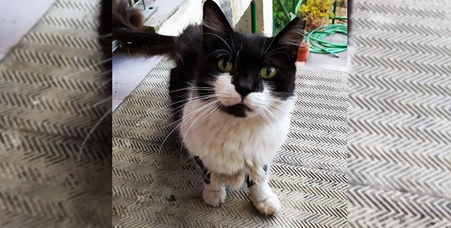 Ребекка ПАНИШ | Просто воспоминания